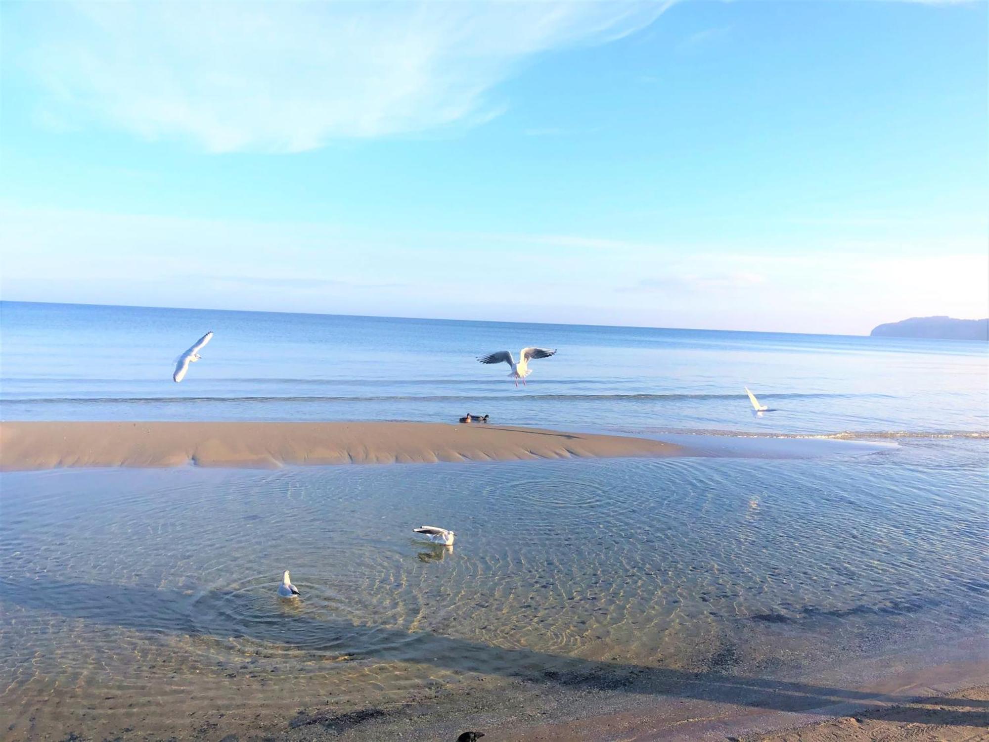 Sommerwind - Villa Helene Mit Meerblick In Top Lage Binz Buitenkant foto